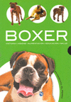 MASCOTA -BOXER