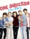 ONE DIRECTION A YEAR WITH US