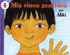 MIS CINCO SENTIDOS