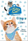 DR KITTYCAT IS READY TO RESCUE: GINGER THE KITTEN