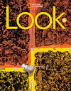 LOOK BRE SB + SPARK STICKER 5