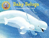 BABY BELUGA