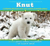 KNUT