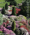 JARDINES INGLESES