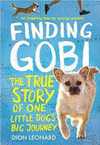 FINDING GOBI