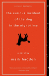THE CURIOUS INCIDENT OF THE DOG