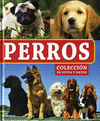 COLECCION DE FOTOS Y DATOS PERROS