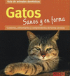 GATOS SANOS Y EN FORMA