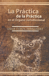 LA PRACTICA DE LA PRACTICA EN EL ORGANO JURISDICCIONAL