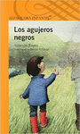 LOS AGUJEROS NEGROS