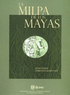 LA MILPA DE LOS MAYAS
