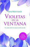 VIOLETAS EN LA VENTANA