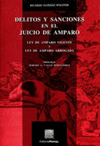 DELITOS Y SANCIONES EN EL JUICIO DE AMPARO GUZMAN WOLFFER