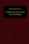 DERECHO DEL TRABAJO II INDIVIDUAL COLECTIVO