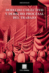 DERECHO COLECTIVO Y DERECHO PROCESAL DEL TRABAJO