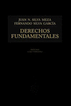 DERECHOS FUNDAMENTALES