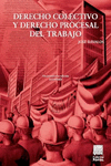 DERECHO COLECTIVO Y DERECHO PROCESAL DEL TRABAJO