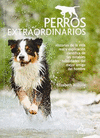 PERROS EXTRAORDINARIOS