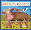MISTERIO LODOSO