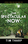 THE SPECTACULAR NOW