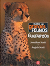 DIARIO DE GRANDES FELINOS: GUEPARDOS