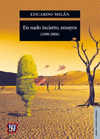 EN SUELO INCIERTO ENSAYOS (1990-2006)