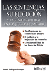 LAS SENTENCIAS SU EJECUCION Y LA RESPONSABILIDAD EN LOS JUICIOS DE AMPARO