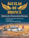 AGUILAS DE BRONCE