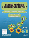 SENTIDO NUMERICO Y PENSAMIENTO FLEXIBLE: CLUB GAMMA PRIMARIA 4O 5O Y 6O