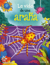 LA VIDA DE UNA ARA�A
