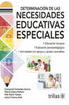 DETERMINACION DE LAS NECESIDADES EDUCATIVAS ESPECIALES