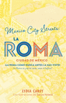 MEXICO CITY STREETS LA ROMA