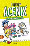 DIARIO DE ACENIX (DIARIO DE ACENIX 1)