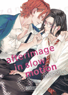 AFTERIMAGE SLOW MOTION