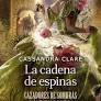 CADENA DE ESPINAS