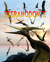PTERANODONTE GIGANTE DEL CIELO