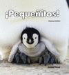 �PEQUE�ITOS!