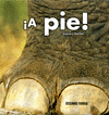 �A PIE! (CON SOLAPAS)