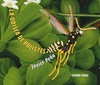 ODISEA DE POLISTES LA