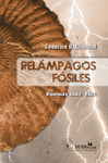 RELAMPAGOS FOSILES