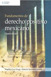 FUNDAMENTOS DE DERECHO POSITIVO MEXICANO