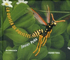 LA ODISEA DE POLISTES