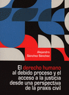 DERECHO HUMANO AL DEBIDO PROCESO Y EL ACCESO A LA JUSTICIA DESDE UNA PERSPECTIVA DE LA PRAXIS CIVIL,
