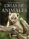 CRIAS DE ANIMALES ANIMALES EN IMAGENES