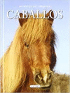 CABALLOS ANIMALES EN IMAGENES