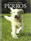 PERROS ANIMALES EN IMAGENES