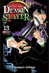 DEMON SLAYER N.13