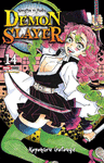 DEMON SLAYER N.14