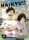 HAIKYU!! (3 IN 1) N.13