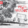 PELEA EN EL PARQUE